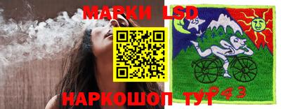 прущие крисы Краснознаменск