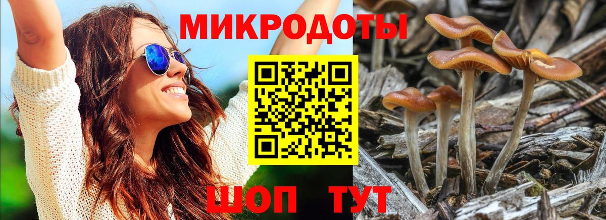 Псилоцибиновые грибы ЛСД Касимов