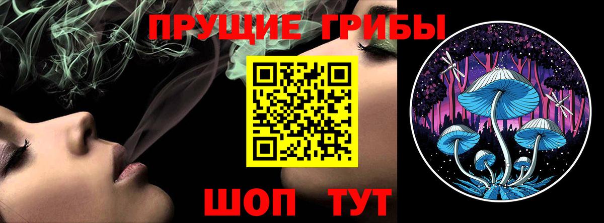 Касимов  Псилоцибиновые грибы Psilocybine cubensis  Вход с VPN 